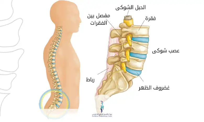 الانزلاق الغضروفي