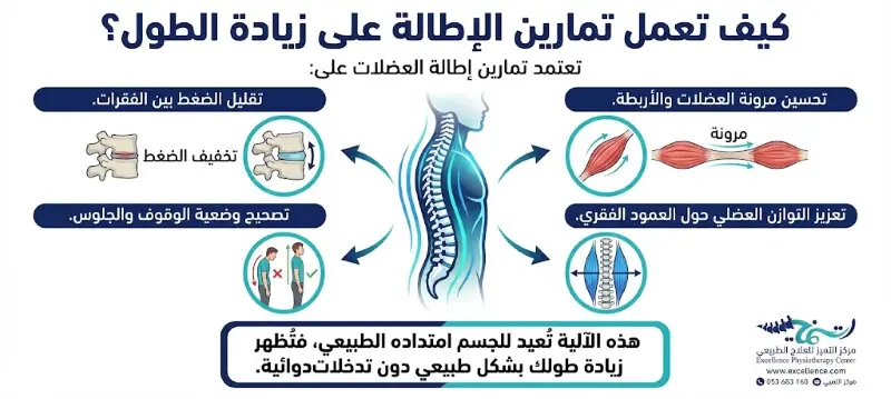 كيف تعمل تمارين الإطالة على زيادة الطول؟