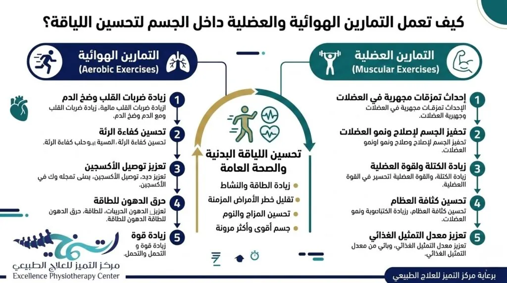 التمارين الهوائية والعضلية: دليلك لبناء لياقة حقيقية 3 كيف تعمل التمارين الهوائية والعضلية داخل الجسم لتحسين اللياقة البدنية؟
