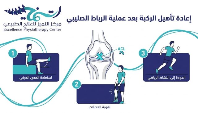 إعادة تأهيل الركبة بعد عملية الرباط الصليبي — دليل المراحل والتمارين حتى العودة الكاملة 22 مراحل إعادة تأهيل الركبة بعد عملية الرباط: الخارطة الكاملة