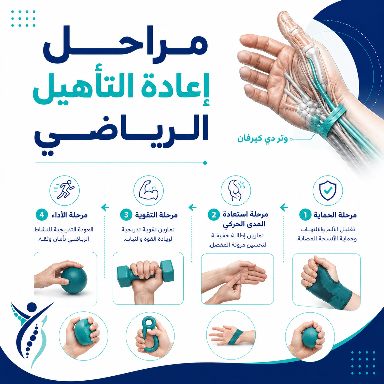 مراحل إعادة التأهيل الرياضي